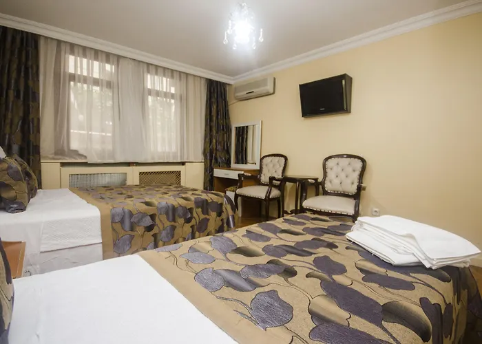 The Devman & Terrace 2* イスタンブール