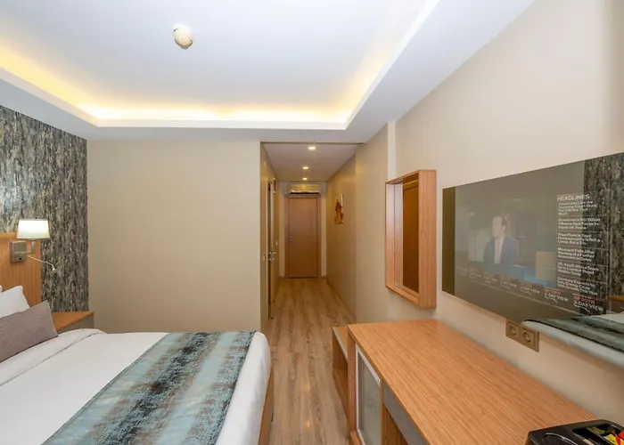 The Devman & Terrace 2* Istambul